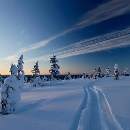 Rentun Maja 公寓 *