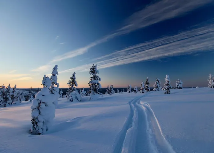 Rentun Maja 公寓 *